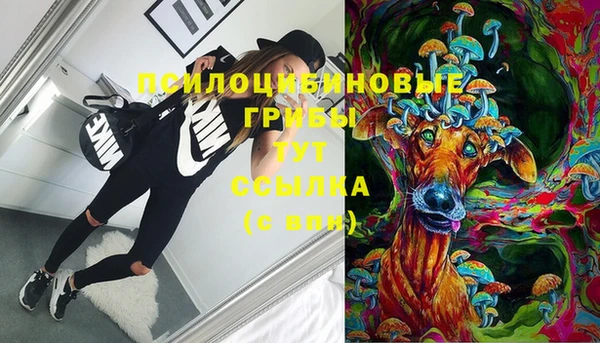 круглые Осташков