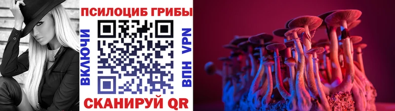 закладки  Светлый  Псилоцибиновые грибы прущие грибы 